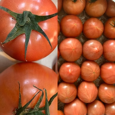 みんなの投稿の画像