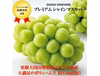 皮ごとパクリ！とっても甘くて美味しいプレミアム‼ 山梨県産シャインマスカット
