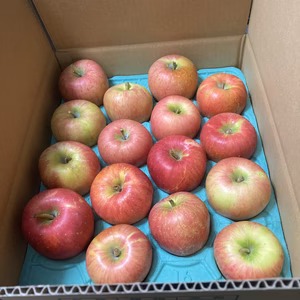 ジュース　加工用　秋田県産　爽やか　酸味　ゆめあかり