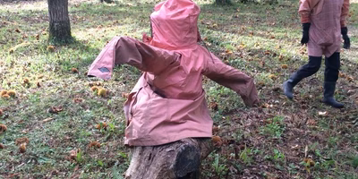 西明寺栗の泥棒除け（母作成してた）