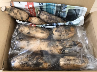 みんなの投稿の画像