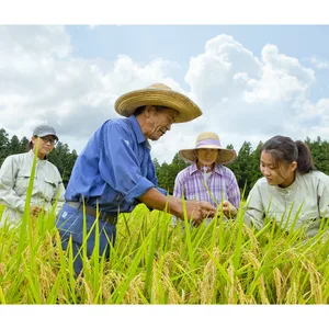 新米予約 令和６年 滝本米ﾌﾟｴﾐｱﾑ 玄米 5kg 農薬不使用 コシヒカリ