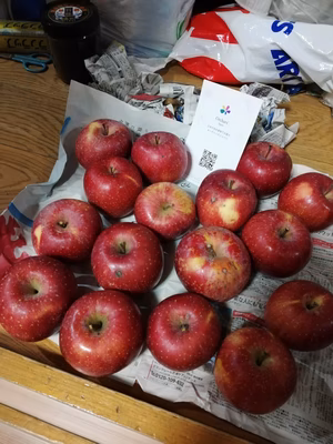 みんなの投稿の画像