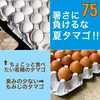 暑さに負けるな、夏タマゴ‼　×75個(若鶏×15＋もみじ×60個)