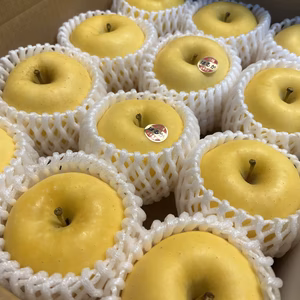 【完熟】はるか　約3kg　(7〜12個)