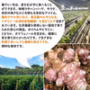 【送料無料】春キクイモ｜沖縄県名護市（無農薬・無化学肥料）