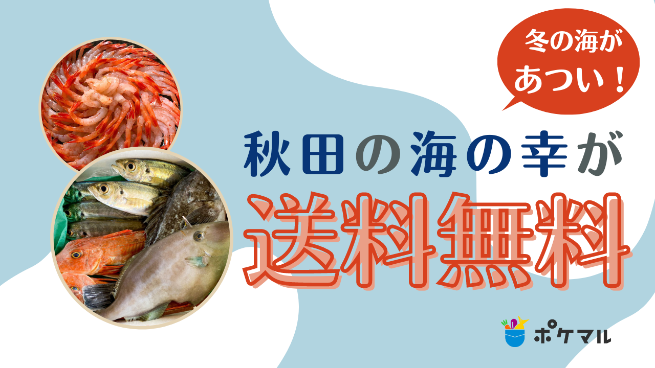 冬の海があつい 秋田県の海の幸が送料無料 農家漁師から産地直送の通販 ポケットマルシェ