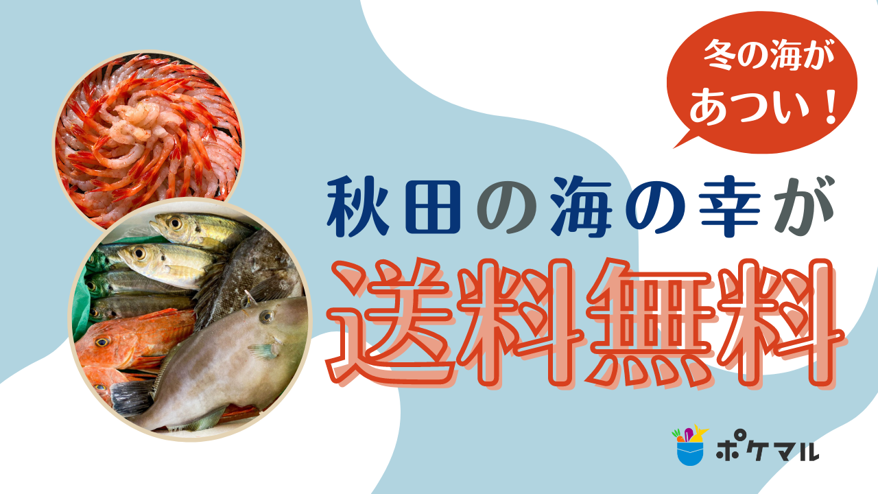 冬の海があつい！秋田県の海の幸が送料無料✨ | 農家漁師から産地直送の通販 ポケットマルシェ
