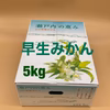 【初店お試し価格！】早生　山口岩国みかん　Ｍ、Ｌサイズ　箱込5㎏