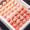 【送料無料】化粧箱入り 冷凍いちご 紅白セット お中元