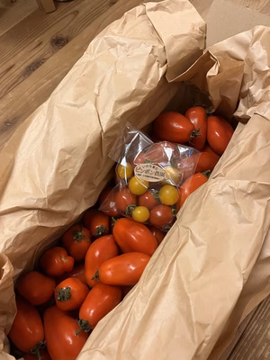 みんなの投稿の画像