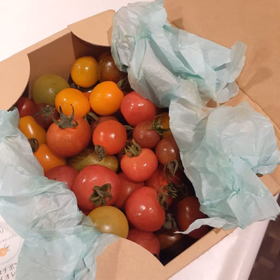 みんなの投稿の画像