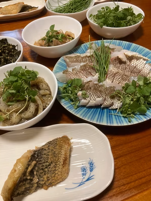 みんなの投稿の画像