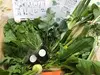 【冬ギフト】鍋野菜＆ゆずポン醤油セット【本当に大切な方へ】メッセージOK