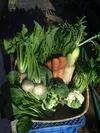 つくばの四季の新鮮野菜セット！！（5～7種類）