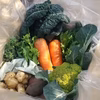 【当日収穫！】季節の固定種野菜セット(7品目)