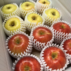 【ロマンシリーズ食べ比べ】奥州ロマン・藤原ロマン　家庭用小玉　3kg