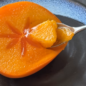 ifarmの甘い〜たねなし柿　刀根早生　大中24個　ご家庭用