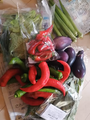 みんなの投稿の画像