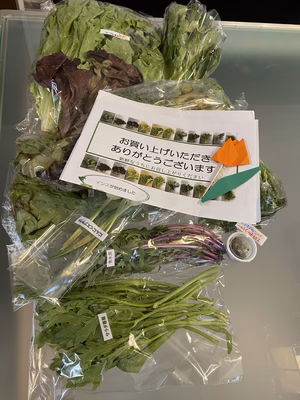 みんなの投稿の画像