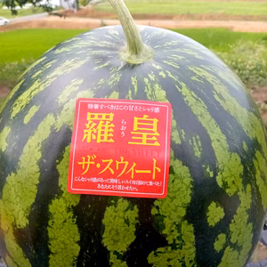 【規格外】羅王ザスイート、灼熱の夏に冷やして最強。