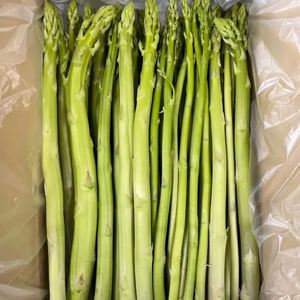 【助けてください！】森のアスパラ　味はそのまま訳あり　採りたて直送便
