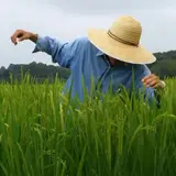 石濱興寿 | 農民イシハマ