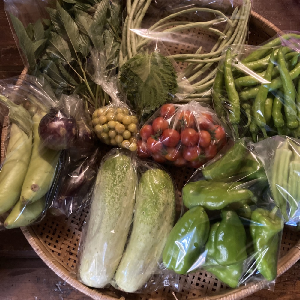 専用出品です 食用ほおずき(トマチロ•コサックパイナップル) 3kg