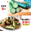 【残り43名】10％OFF(約2㎏)化学肥料なし！パリッ甘きゅうり「マジキュー」