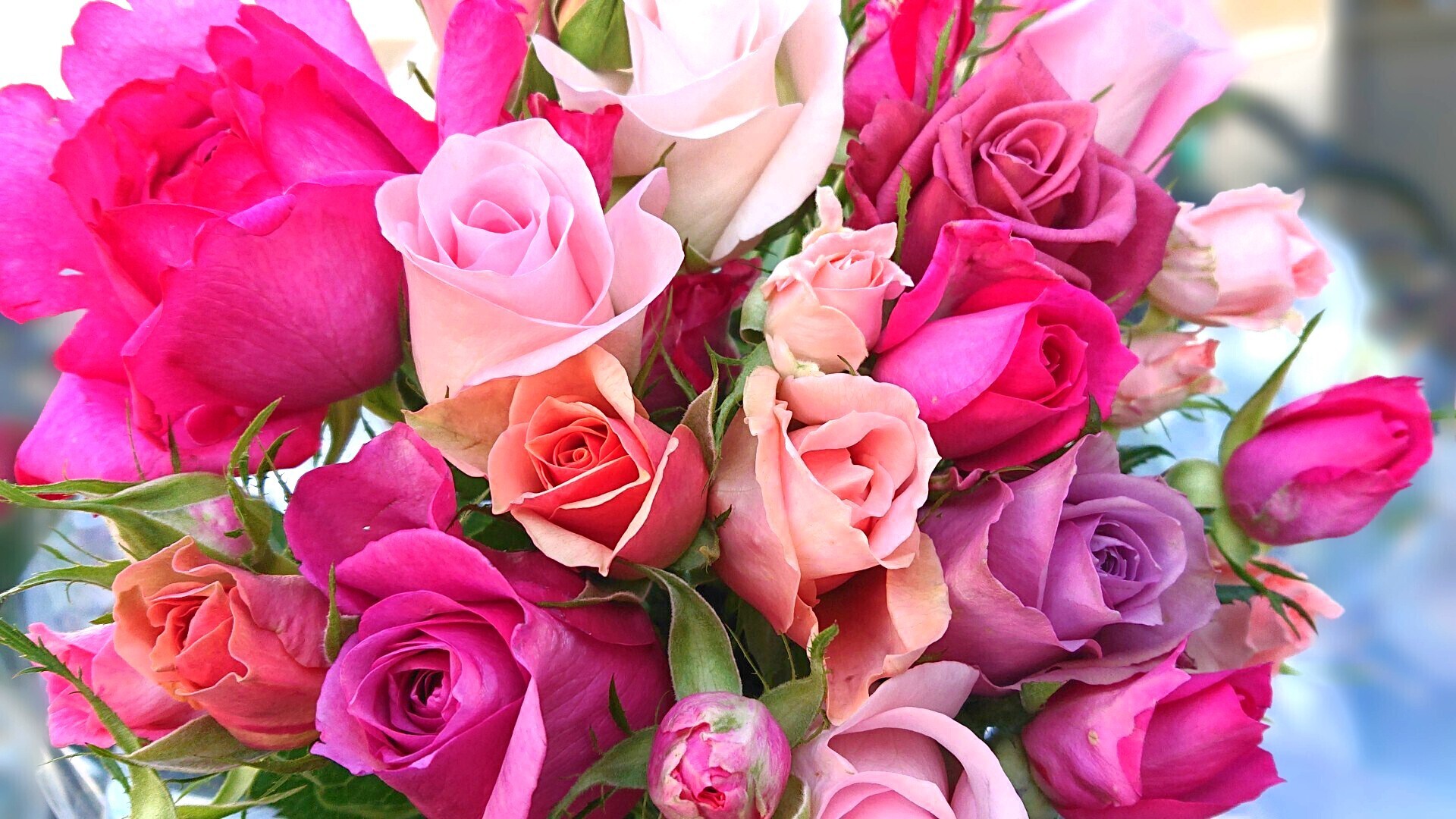 大分県杵築市｜アトリエ天使のバラ｜本田あけみさんの生産者