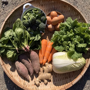 文京区様専用　旬の野菜おまかせセット　平飼い卵入ります(写真はイメージです)