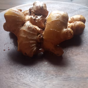 【ひね生姜】農薬化学肥料不使用の房州中太生姜