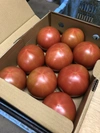 【ご贈答用】湘南発・トマトが大好きな方にオススメ♡２Ｌ以上の特大サイズ♪