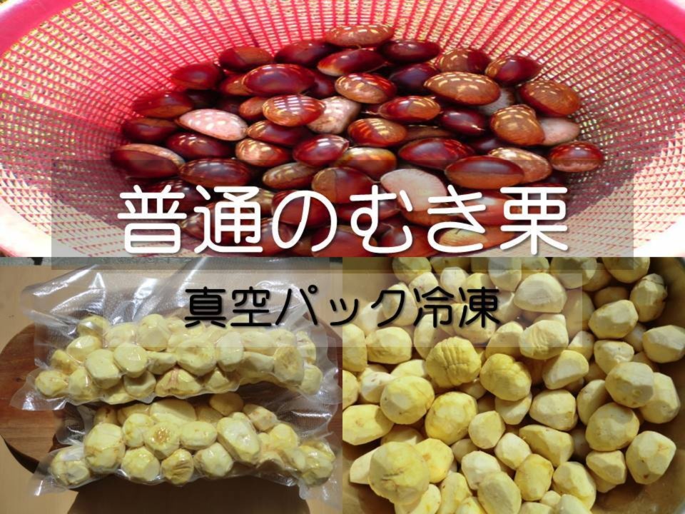 www.lacene.fr - 利平栗(生栗)農薬・肥料を使っていません(自然栽培)約