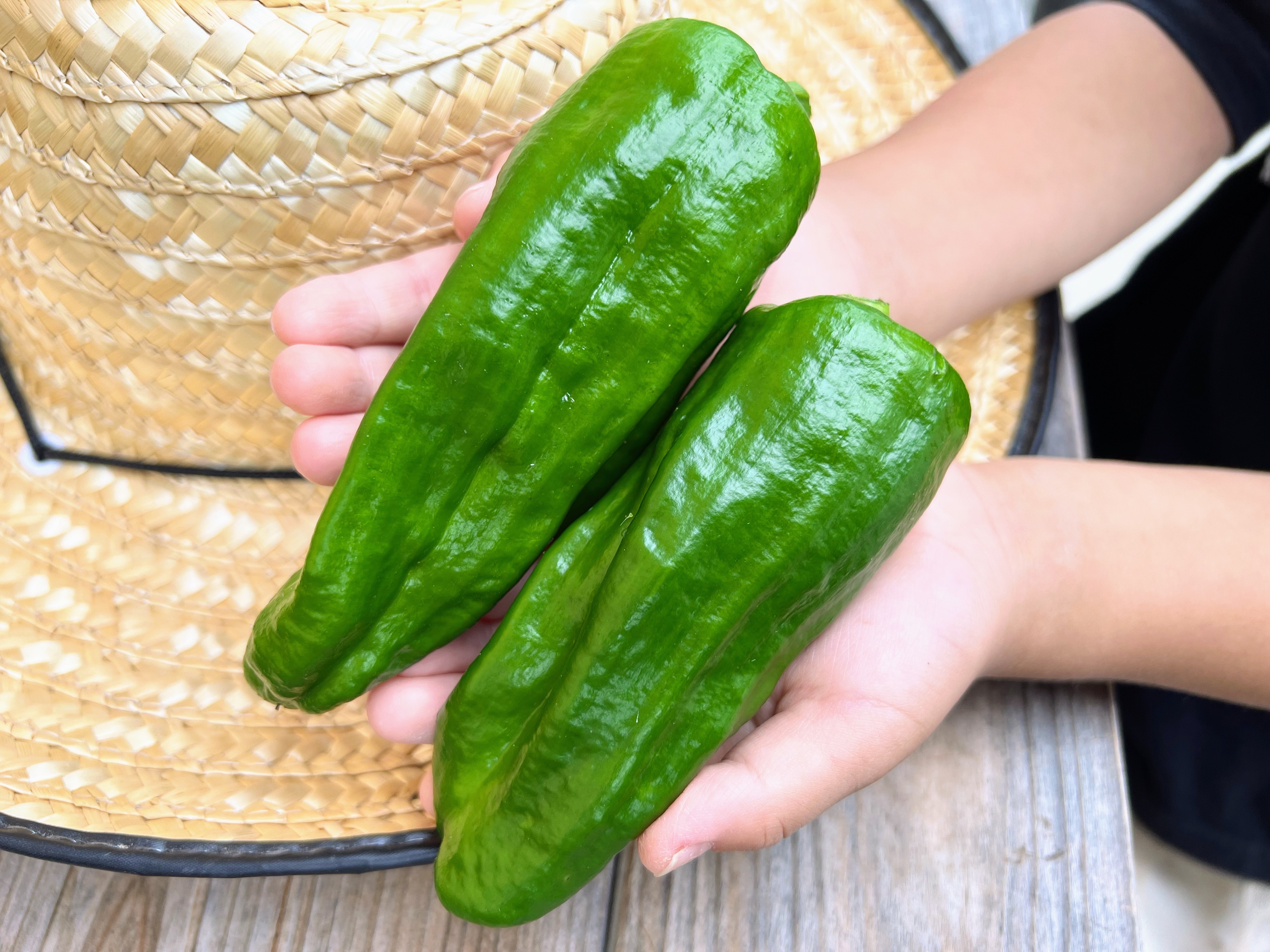 セールsale Off 野菜 旬野菜 市場のセリ人が選ぶ旬の野菜詰合せ 8 10種類 セット ランダム ギフト 葉物 根菜 北海道 夏 セレクト 自宅用 贈り物 お中元 Qdtek Vn