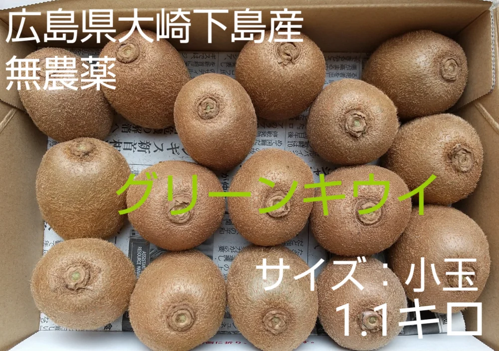 【化学肥料・農薬・成長剤不使】皮まで食べれるグリーンキウイ小玉1.1キロ