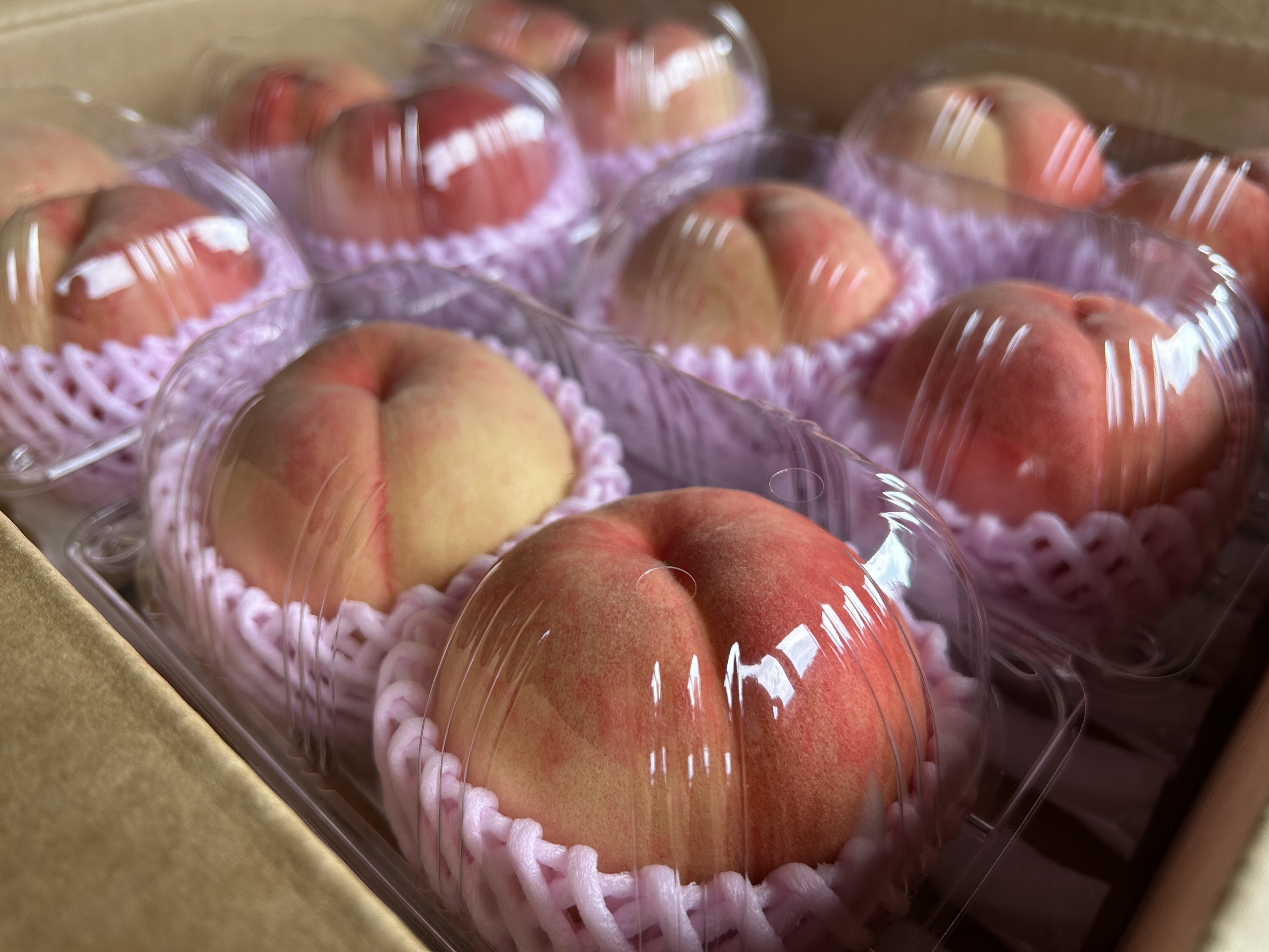 美味しい桃をみんなでシェア‼️ 品種お任せ 桃パック入り 約1.6.kg(2個入り約400g × 4パック)