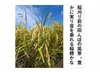 ＜精米＞秋田のあきたこまち【令和6年産】定期購入 Rev.0