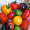 【カラフル７】農家におまかせ！今が旬のカラフルセブン野菜Box