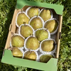【ラフランス専業農家が贈る】ラ・フランス3kg 12〜14玉【食べきりサイズ】