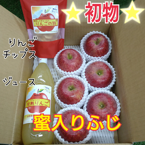 初物★蜜入りふじりんご＆りんごの恵み(3k箱)
