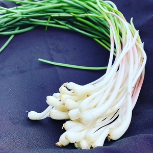 "田舎の旬セット"行者ニンニク&のびる(ひろっこ)セット