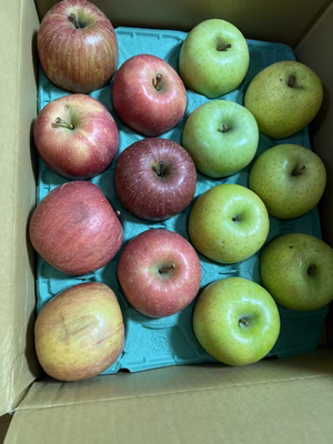 みんなの投稿の画像