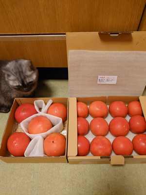 みんなの投稿の画像