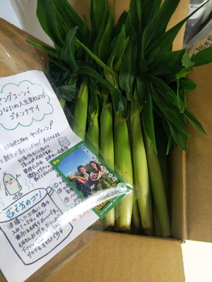 みんなの投稿の画像