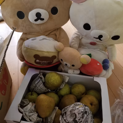 みんなの投稿の画像