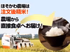  【令和2年産】コシヒカリ　白米（5kg）