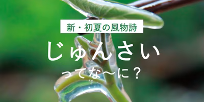 6月が旬！つるつる食材「じゅんさい」とは？農家さんに聞いてみました