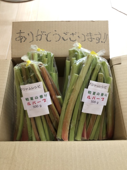 2k入り 食物繊維たっぷり無農薬ルバーブ 農家漁師から産地直送の通販 ポケットマルシェ
