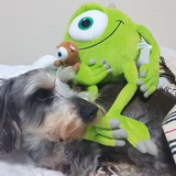 アユのやっちゃん